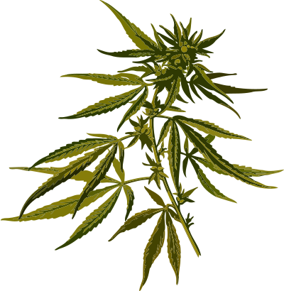 Cannabis (low resolution) clipart