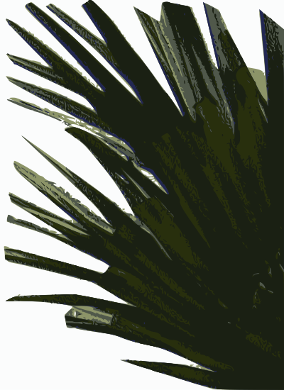 Cantocore Bush Element clipart