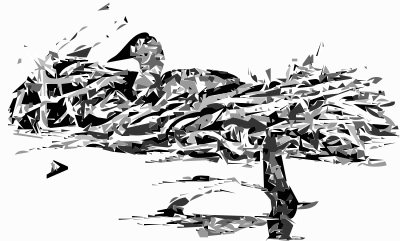 Canvasbacks ducks clipart