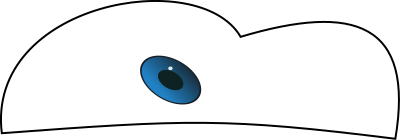 Car eyes clipart