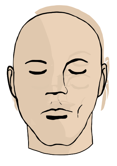 Cara clipart