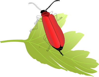 Cardinal beetle (Pyrochroa coccinea) clipart