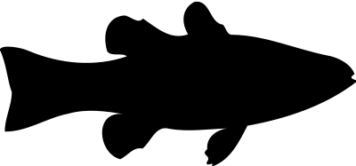 Cardinalfish (silhouette) clipart