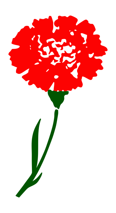 Carnaition clipart