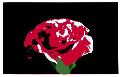 Carnation clipart