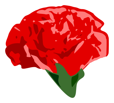 Carnation clipart