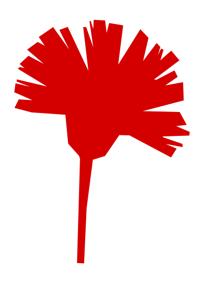 Carnation clipart