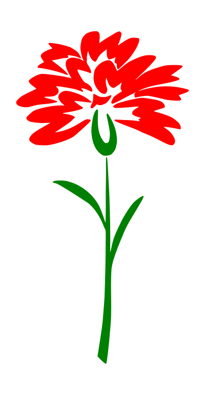 Carnation flower clipart