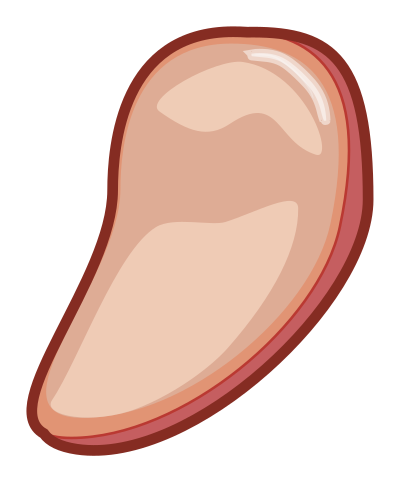 Carne clipart