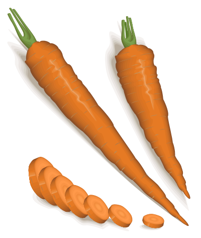 Carrots clipart