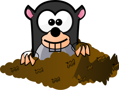 Cartoon Mole clipart