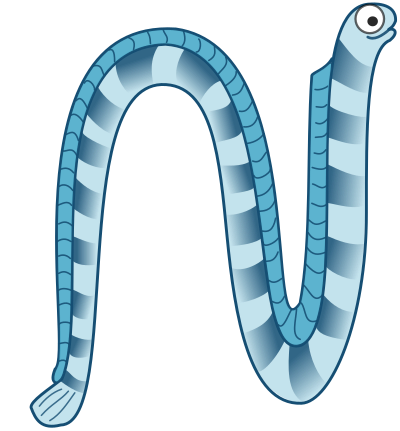 Cartoon sea snake clipart