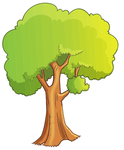 Cartoon Tree Isolated clipart