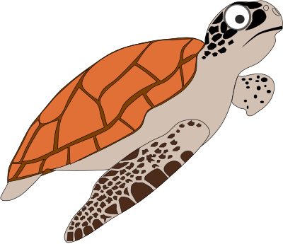 Cartoon Turtle 1 clipart