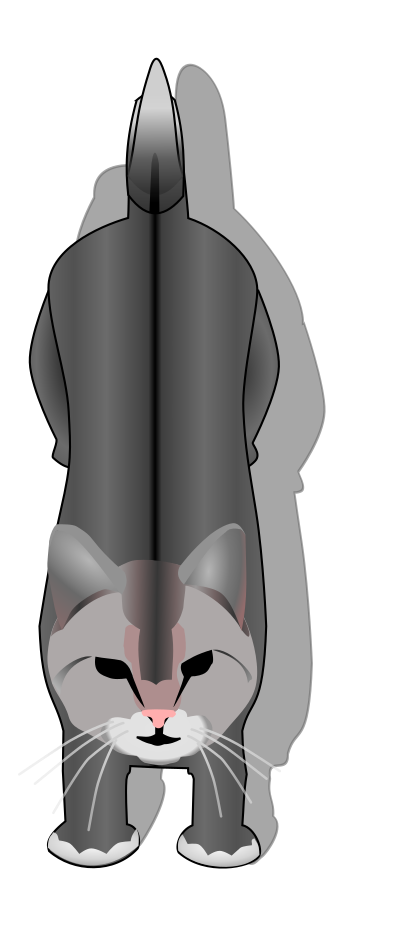 Cat clipart