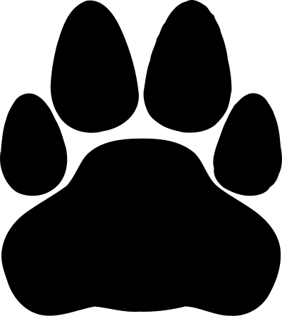 Cat -8 clipart