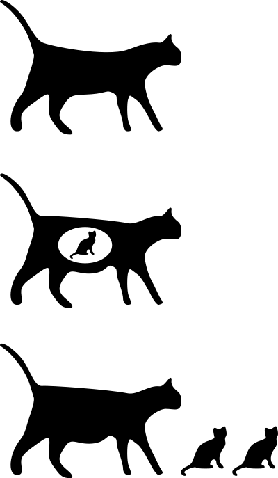 Cat icons clipart