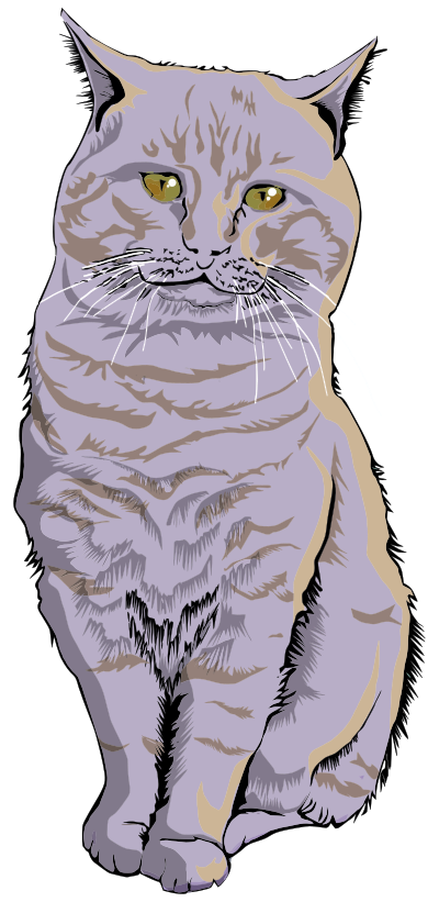 Cat Illustration By emrkcc77 clipart