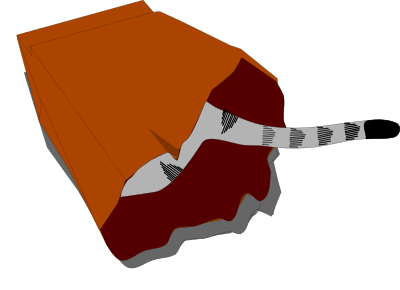Cat in a Bag clipart