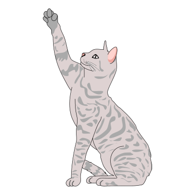 Cat Pose Side clipart
