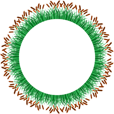 Cat Tails And Grass Frame clipart