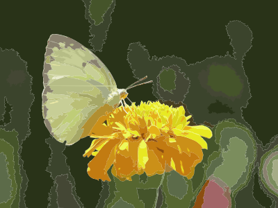 Catopsilia pomona 3 by kadavoor clipart