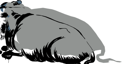Cattle clipart