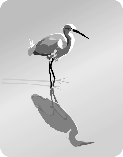 Cattle Egret clipart