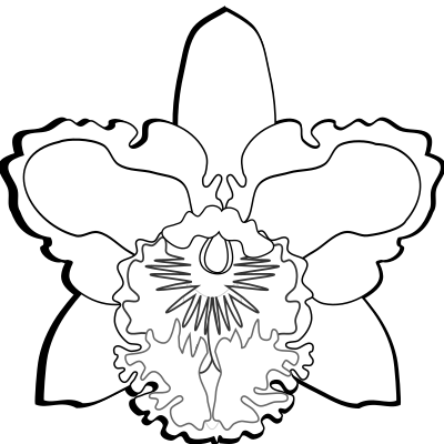 cattleya-07-Base clipart