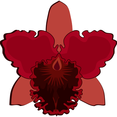cattleya-07A clipart