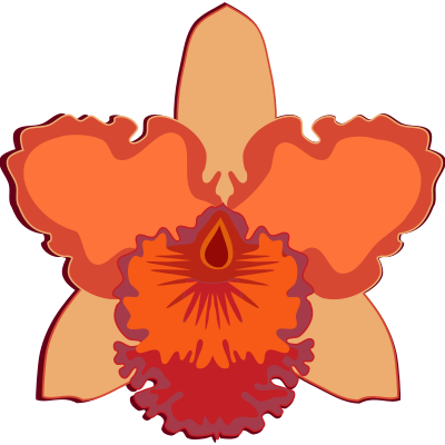 cattleya-07D clipart