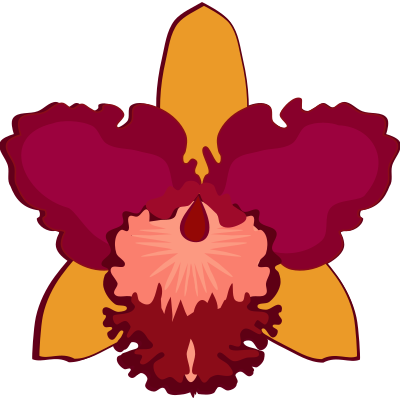 cattleya-07E clipart