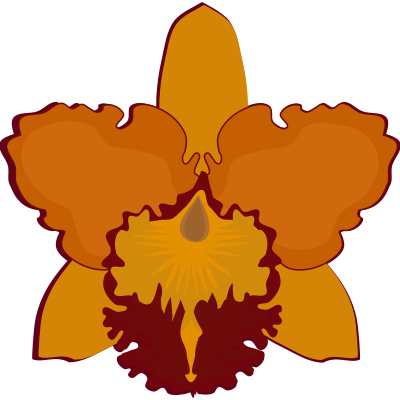 cattleya-07F clipart
