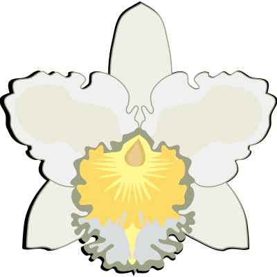 cattleya-07G clipart
