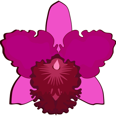 cattleya-07H clipart