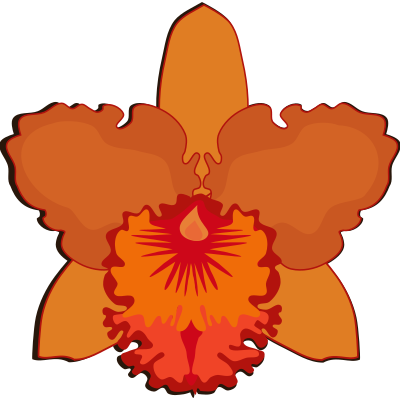 cattleya-07I clipart