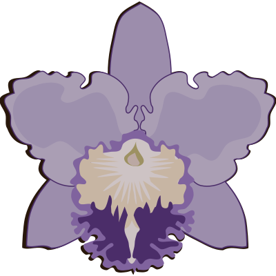 cattleya-07J clipart