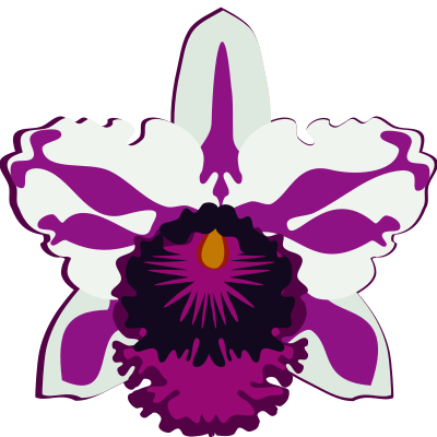 cattleya-07K clipart