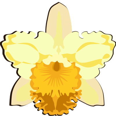 cattleya-07L clipart