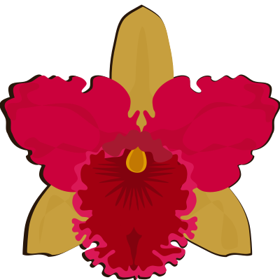 cattleya-07M clipart