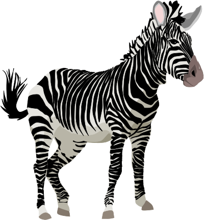 Cebra clipart