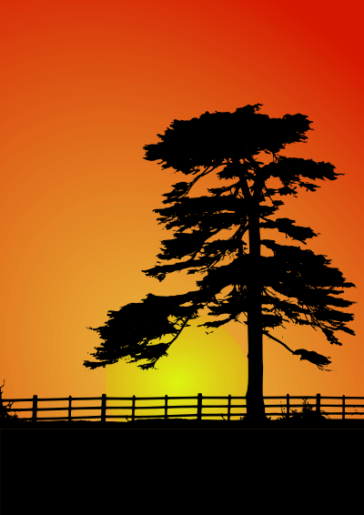Cedar Sunset clipart