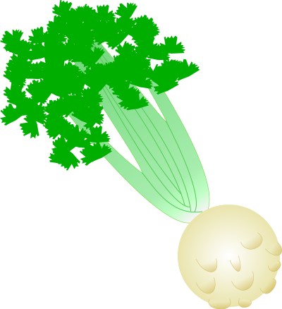 Celery with root clipart