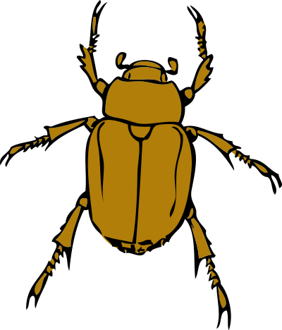 Chafer bug clipart