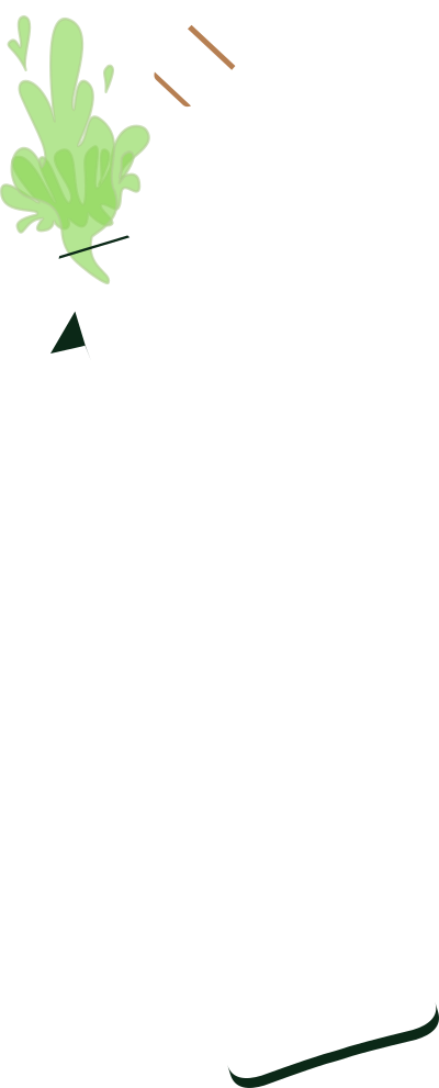 Champagne Bottle - Open clipart