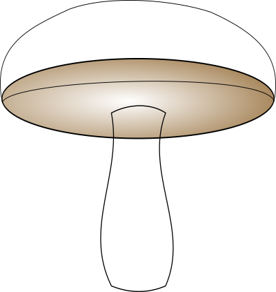 Champignon clipart