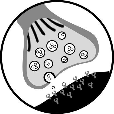 Chemical Synapse clipart