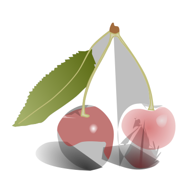 Cherries clipart
