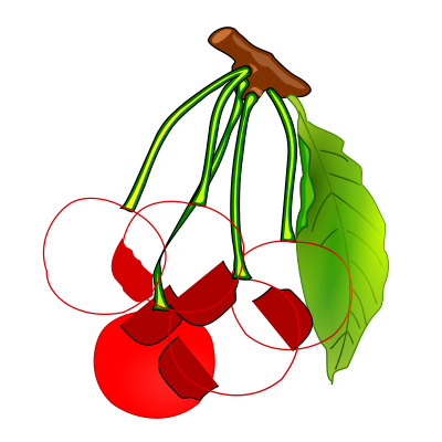 Cherries clipart