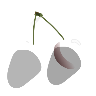 Cherries clipart